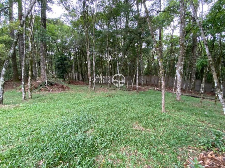 Terreno em Condomínio, 443,26m², à venda em Canela, Villa Mariana - Alpes Verdes Imobiliaria